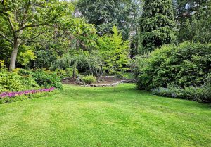 Optimiser l'expérience du jardin à Remaucourt